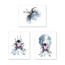 Load image into Gallery viewer, Coleoptera Beetles Watercolor Nursery Wall Art Prints Set - Home Decor For Kids, Child, Children, Baby or Toddlers Room - Gift for Newborn Baby Shower | Set of 3 - Unframed- 8x10 Photos