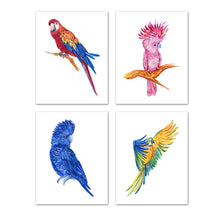 Load image into Gallery viewer, Colorful Macaws and Cockatoos Parrots Nursery Wall Art Prints Set - Home Decor For Kids, Child, Children, Baby or Toddlers Room - Gift for Newborn Baby Shower | Set of 4 - Unframed- 8x10 Photos