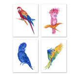 Colorful Macaws and Cockatoos Parrots Nursery Wall Art Prints Set - Home Decor For Kids, Child, Children, Baby or Toddlers Room - Gift for Newborn Baby Shower | Set of 4 - Unframed- 8x10 Photos