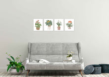 Load image into Gallery viewer, Beautiful Potted Plants Wall Art Prints Set - Ideal Gift For Family Room Kitchen Play Room Wall Décor Birthday Wedding Anniversary | Set of 4 - Unframed- 8x10 Photos