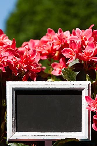 Picture Frame Size Chalkboard Labels Chalk Stickers (12, 4" X 6")