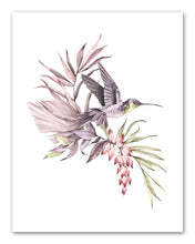Load image into Gallery viewer, Humming Bird Sparrow Parrots &amp; Foliage Nursery Wall Art Prints Set - Home Decor For Kids, Child, Children, Baby or Toddlers Room - Gift for Newborn Baby Shower | Set of 4 - Unframed- 8x10 Photos