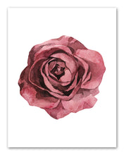 Load image into Gallery viewer, Pink &amp; Red Roses Flowers Wall Art Prints Set - Ideal Gift For Family Room Kitchen Play Room Wall Décor Birthday Wedding Anniversary | Set of 4 - Unframed- 8x10 Photos
