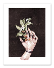 Load image into Gallery viewer, Coffee & Seed Foliage Kitchen Wall Art Prints Set - Ideal Gift For Family Room Kitchen Play Room Wall Décor Birthday Wedding Anniversary | Set of 4 - Unframed- 8x10 Photos
