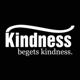Vinyl Decal Sticker for Computer Wall Car Mac MacBook and More- Kindness Begets Kindness 8 x 3.6 inches