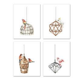 Hanging Bird Cage Wall Art Prints Set - Ideal Gift For Family Room Kitchen Play Room Wall Décor Birthday Wedding Anniversary | Set of 4 - Unframed- 8x10 Photos