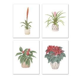 Beautiful Potted Plants Design Wall Art Prints Set - Ideal Gift For Family Room Kitchen Play Room Wall Décor Birthday Wedding Anniversary | Set of 4 - Unframed- 8x10 Photos