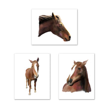 Load image into Gallery viewer, Beautiful Horses Nursery Wall Art Prints Set - Home Decor For Kids, Child, Children, Baby or Toddlers Room - Gift for Newborn Baby Shower | Set of 3 - Unframed- 8x10 Photos