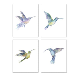 Beautiful Nursery Humming Birds Wall Art Prints Set - Home Decor For Kids, Child, Children, Baby or Toddlers Room - Gift for Newborn Baby Shower | Set of 4 - Unframed- 8x10 Photos