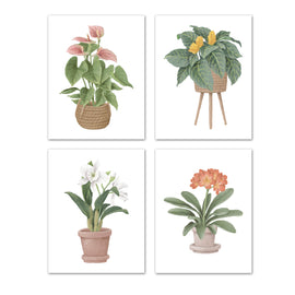 Beautiful Potted Plants Wall Art Prints Set - Ideal Gift For Family Room Kitchen Play Room Wall Décor Birthday Wedding Anniversary | Set of 4 - Unframed- 8x10 Photos