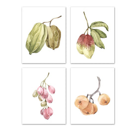 Multicoloured Berries Wall Art Prints Set - Ideal Gift For Family Room Kitchen Play Room Wall Décor Birthday Wedding Anniversary | Set of 4 - Unframed- 8x10 Photos