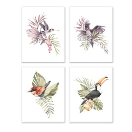 Humming Bird Sparrow Parrots & Foliage Nursery Wall Art Prints Set - Home Decor For Kids, Child, Children, Baby or Toddlers Room - Gift for Newborn Baby Shower | Set of 4 - Unframed- 8x10 Photos