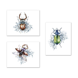 Coleoptera Beetles Posters Wall Art Prints Set - Home Decor For Kids, Child, Children, Baby or Toddlers Room - Gift for Newborn Baby Shower | Set of 3 - Unframed- 8x10 Photos