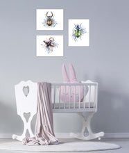 Load image into Gallery viewer, Coleoptera Beetles Posters Wall Art Prints Set - Home Decor For Kids, Child, Children, Baby or Toddlers Room - Gift for Newborn Baby Shower | Set of 3 - Unframed- 8x10 Photos