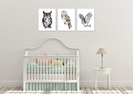 Adorable Owls Wall Art Prints Set - Home Decor For Kids, Child, Children, Baby or Toddlers Room - Gift for Newborn Baby Shower | Set of 3 - Unframed- 8x10 Photos