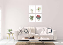 Load image into Gallery viewer, Beautiful Potted Plants Design Wall Art Prints Set - Ideal Gift For Family Room Kitchen Play Room Wall Décor Birthday Wedding Anniversary | Set of 4 - Unframed- 8x10 Photos