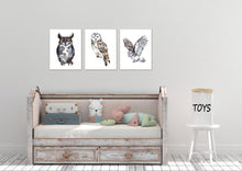 Load image into Gallery viewer, Adorable Owls Wall Art Prints Set - Home Decor For Kids, Child, Children, Baby or Toddlers Room - Gift for Newborn Baby Shower | Set of 3 - Unframed- 8x10 Photos