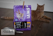 Load image into Gallery viewer, Reusable Chalk Labels - 36 Rectangle Shape 2.5&quot; x 1.25&quot; Adhesive Chalkboard Stickers, Light Material with Removable Adhesive and Smooth Writing Surface. Can be Wiped Clean and Reused