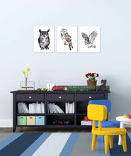 Load image into Gallery viewer, Adorable Owls Wall Art Prints Set - Home Decor For Kids, Child, Children, Baby or Toddlers Room - Gift for Newborn Baby Shower | Set of 3 - Unframed- 8x10 Photos