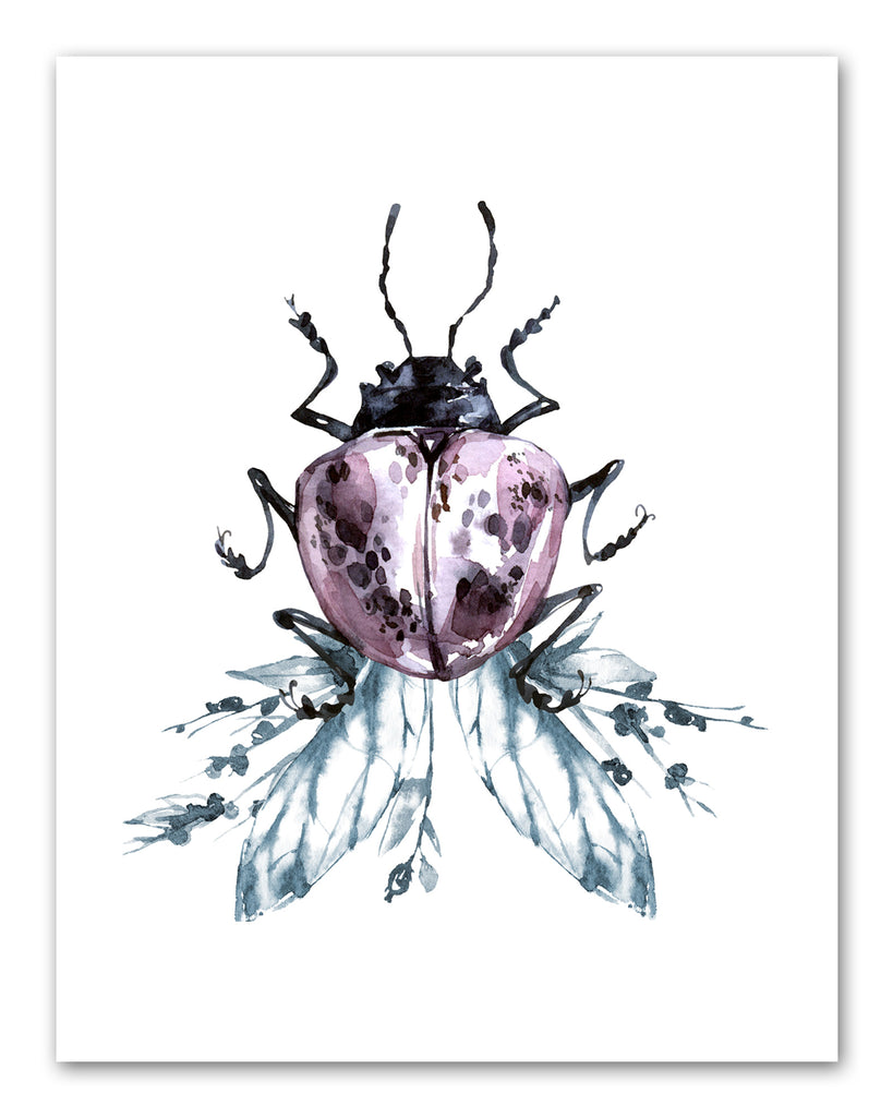 Coleoptera Beetles Watercolor Nursery Wall Art Prints Set - Home Decor For Kids, Child, Children, Baby or Toddlers Room - Gift for Newborn Baby Shower | Set of 3 - Unframed- 8x10 Photos