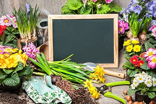 Picture Frame Size Chalkboard Labels Chalk Stickers (4, 8" x 10")