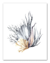 Load image into Gallery viewer, Watercolor Fish and Ocean Flora Set Wall Art Prints Set - Home Decor For Kids, Child, Children, Baby or Toddlers Room - Gift for Newborn Baby Shower | Set of 3 - Unframed- 8x10 Photos