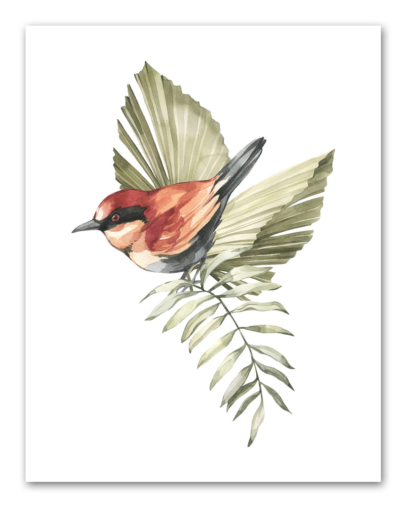 Humming Bird Sparrow Parrots & Foliage Nursery Wall Art Prints Set - Home Decor For Kids, Child, Children, Baby or Toddlers Room - Gift for Newborn Baby Shower | Set of 4 - Unframed- 8x10 Photos