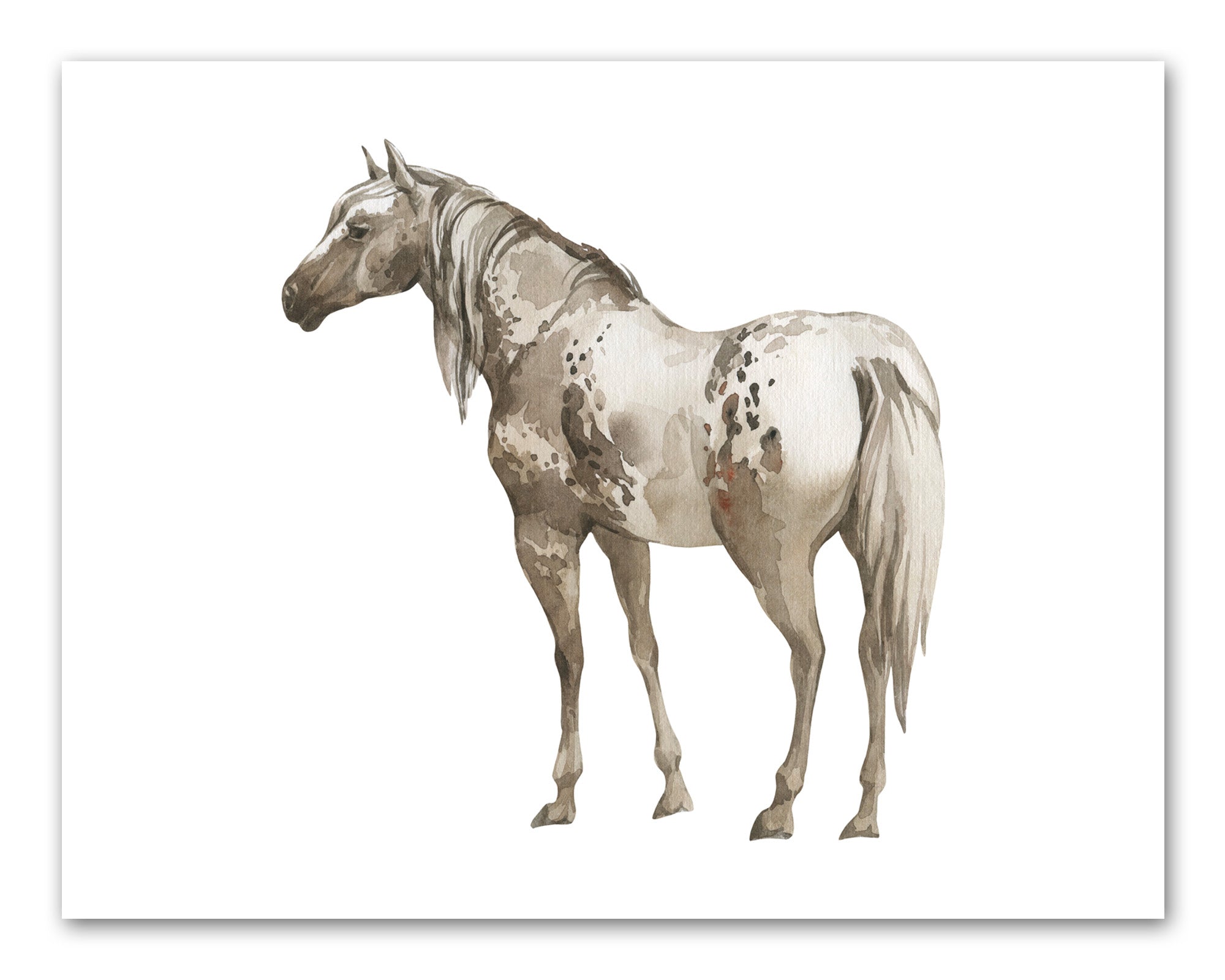 44 Horse Coloring Pages (Free PDF Printables)