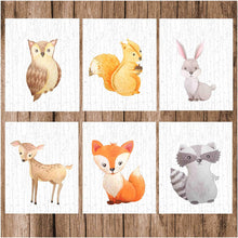 Load image into Gallery viewer, Watercolor Woodland Forest Animals Nursery Wall Art Prints with Birch Tree Background (Set of 6) Unframed 8&quot;x10&quot; Poster Prints Owl, Squirrel, Bunny Rabbit, Deer, Fox, Raccoon