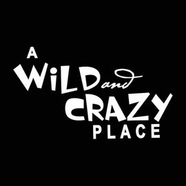 Vinyl Decal Sticker for Computer Wall Car Mac MacBook and More A Wild and Crazy Place 5.2 x 3 inches