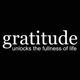 Vinyl Decal Sticker for Computer Wall Car Mac MacBook and More Gratitude unlocks The Fullness of Life