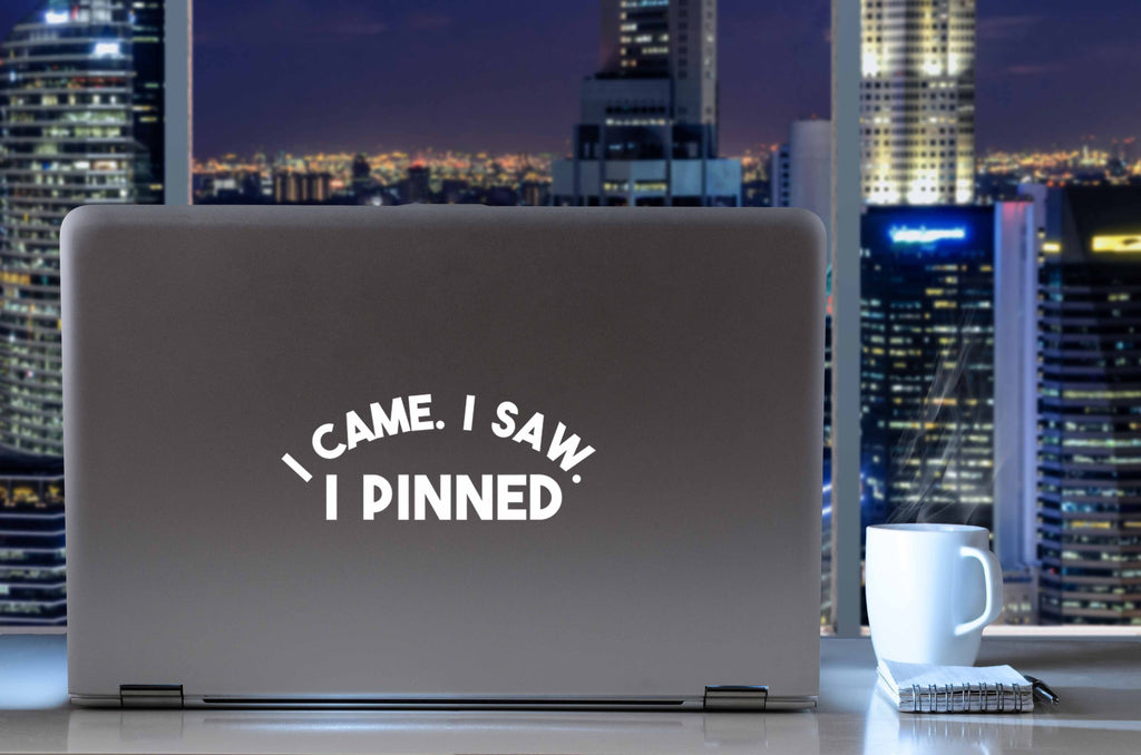 I Came. I Saw. I Pinned | 6" x 2.4" Vinyl Sticker | Peel and Stick Inspirational Motivational Quotes Stickers Gift | Decal for Sports Wrestling Lovers