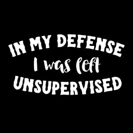 in My Defense I was Left Unsupervised | 6