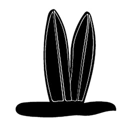 Surf Boards in Sand | 4.8