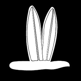 Surf Boards in Sand | 4.8